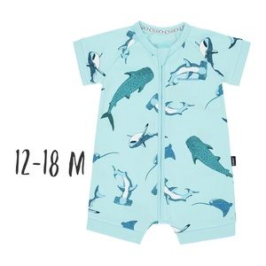 Shark Bay Aqua Shorts Romper bonds Wondersuit